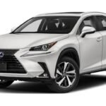 Lexus Demo Model 19